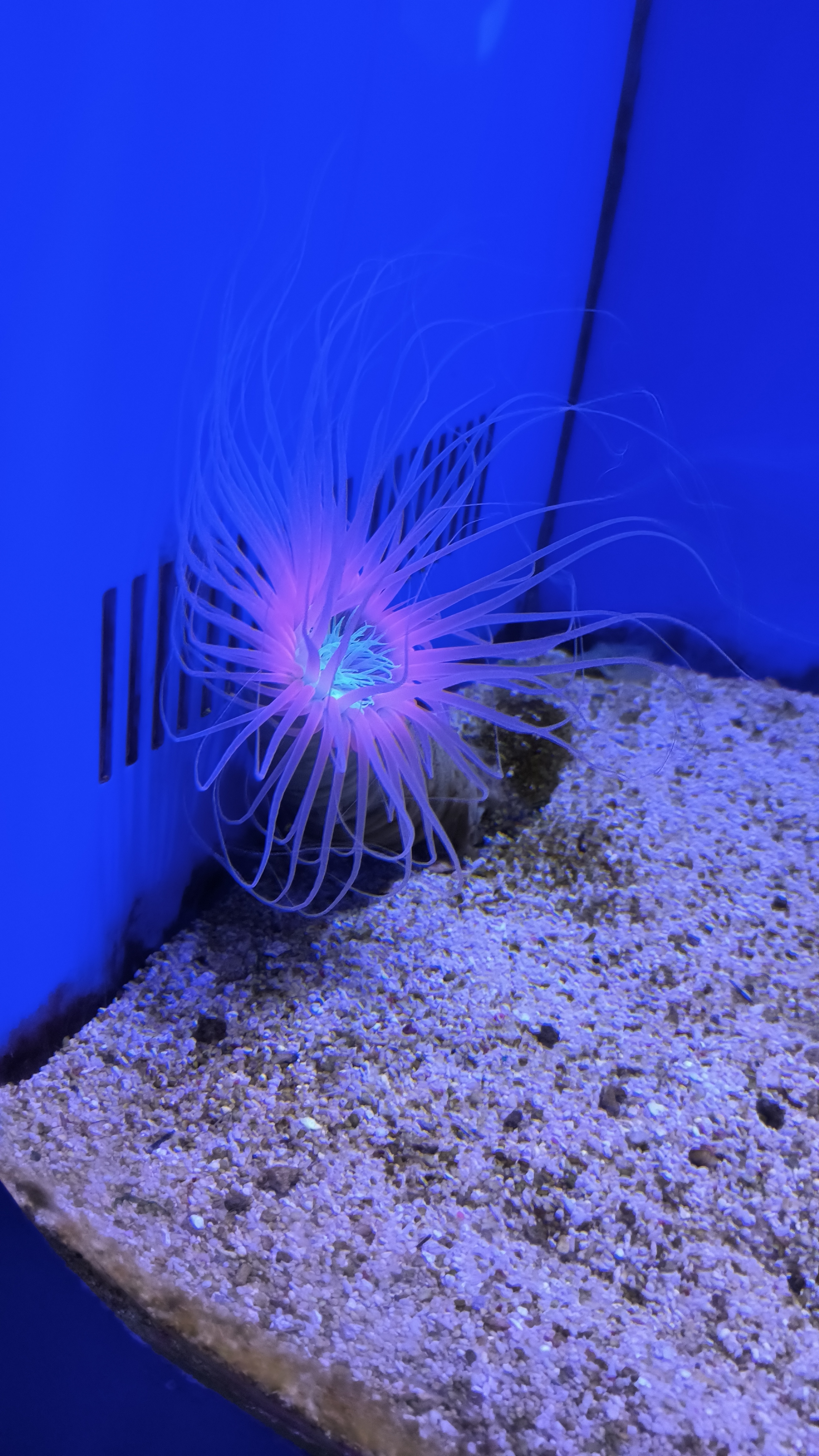 水母馆