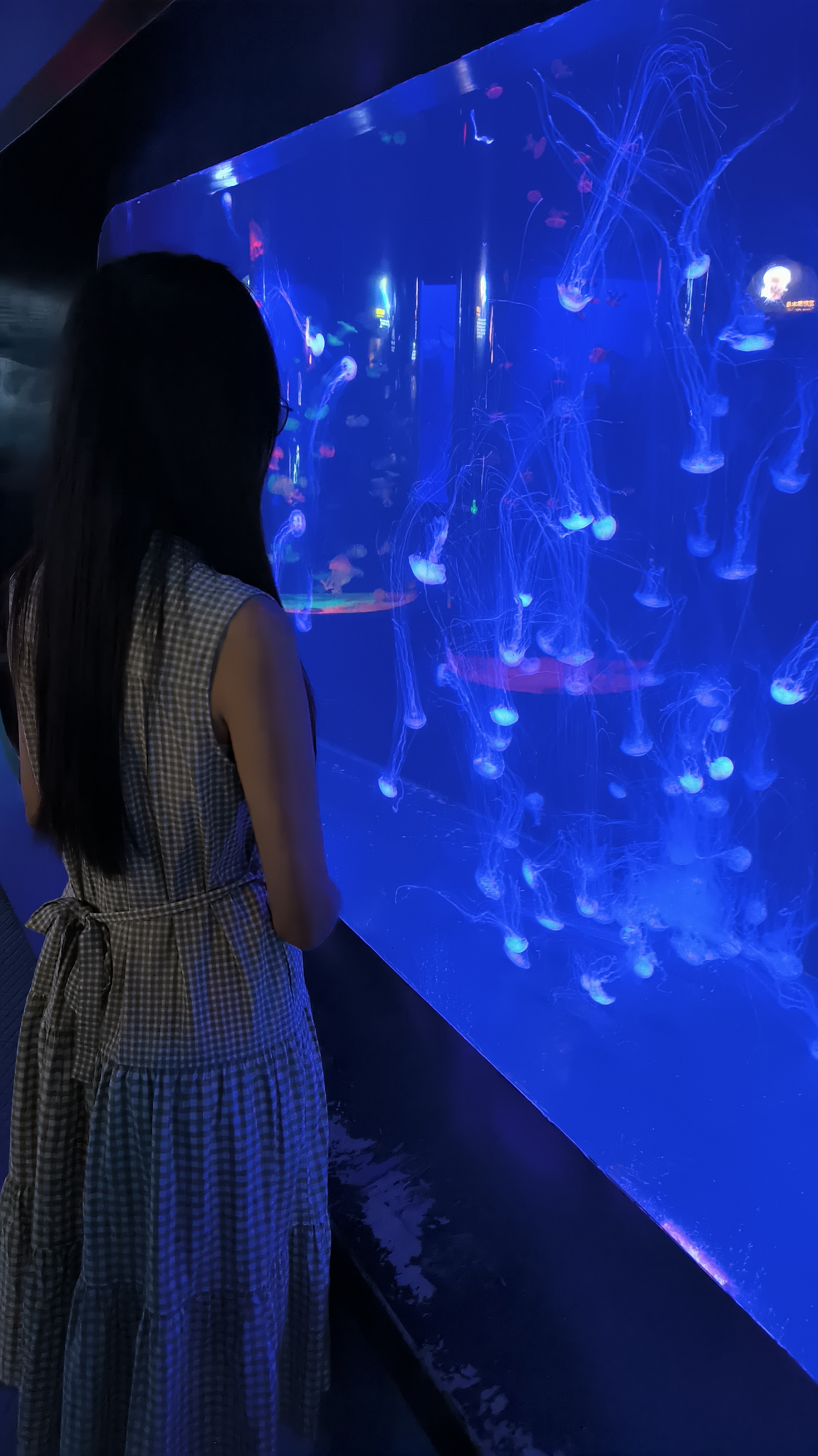 水母馆