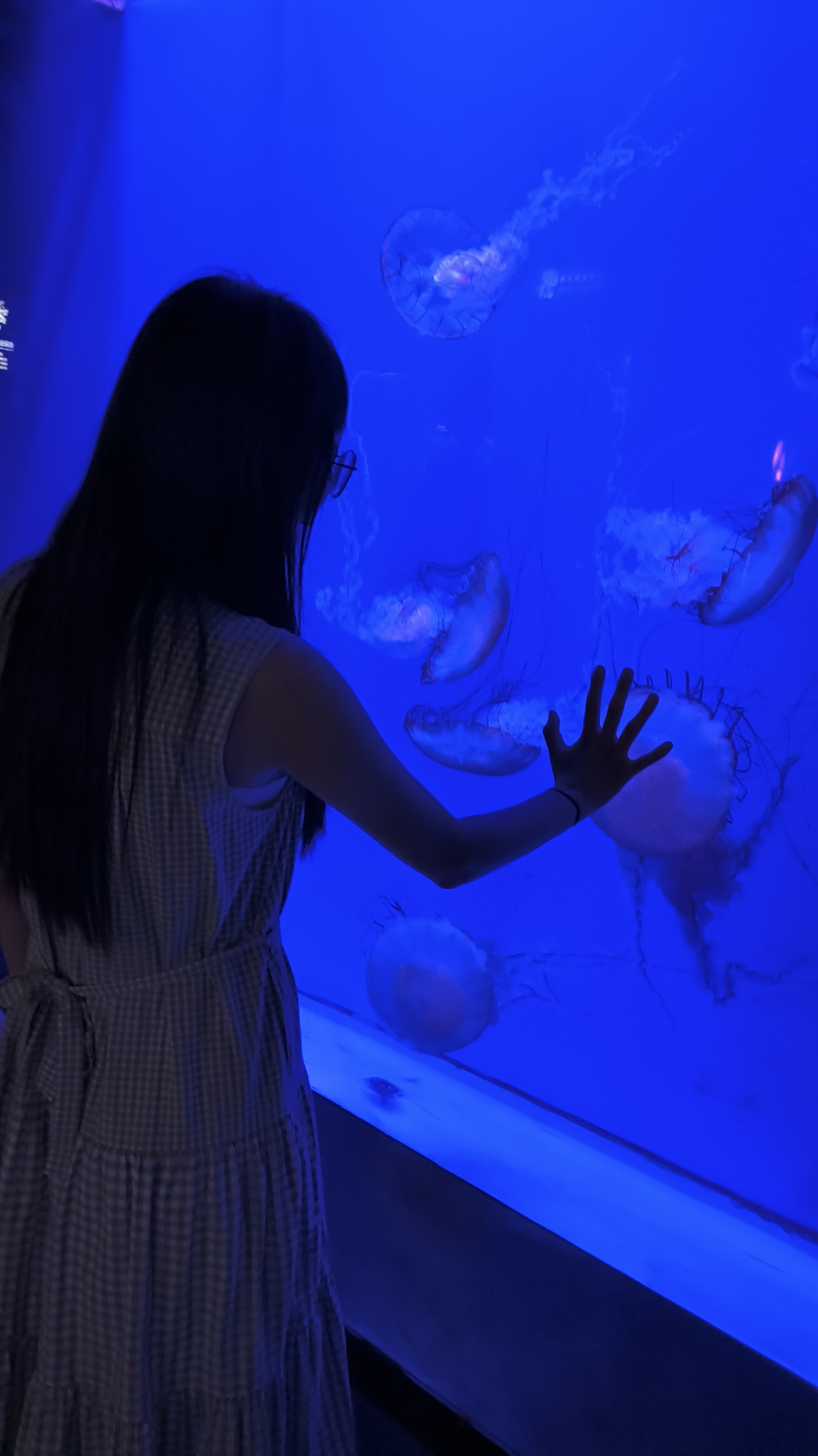 水母馆