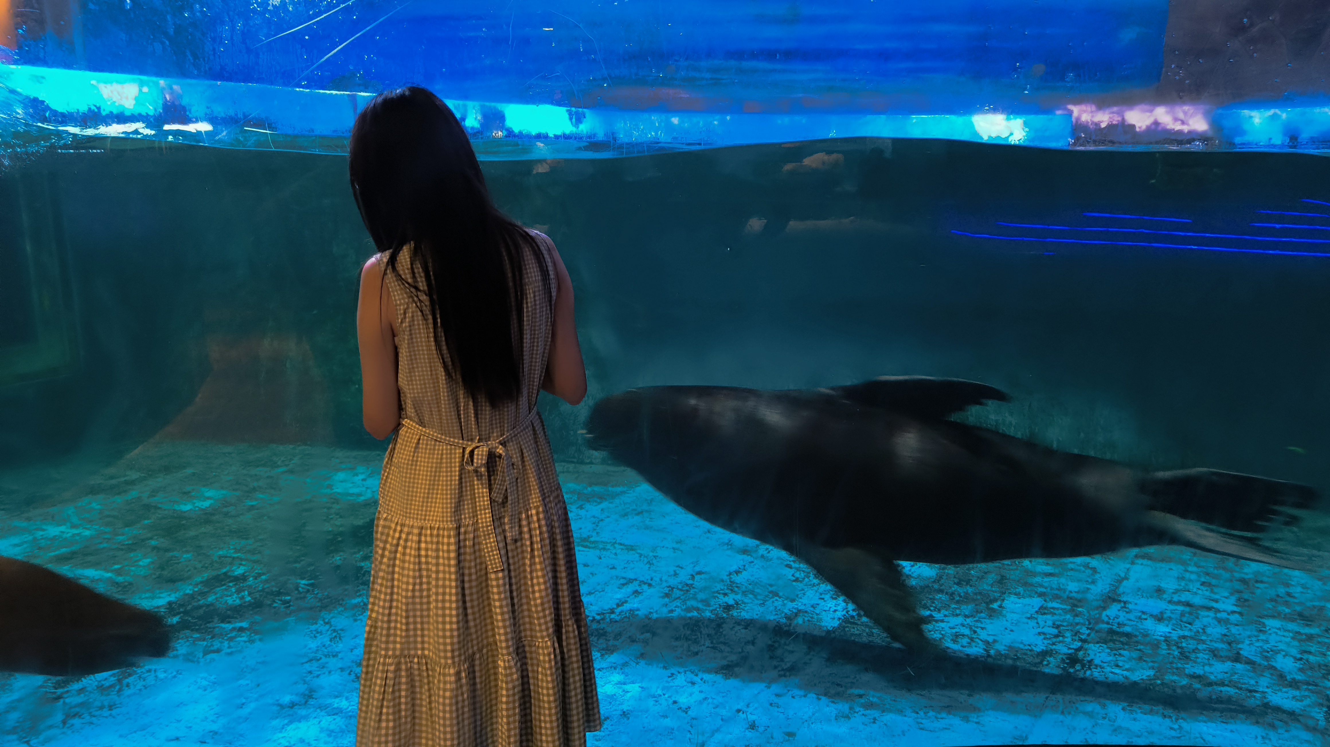 海豹馆