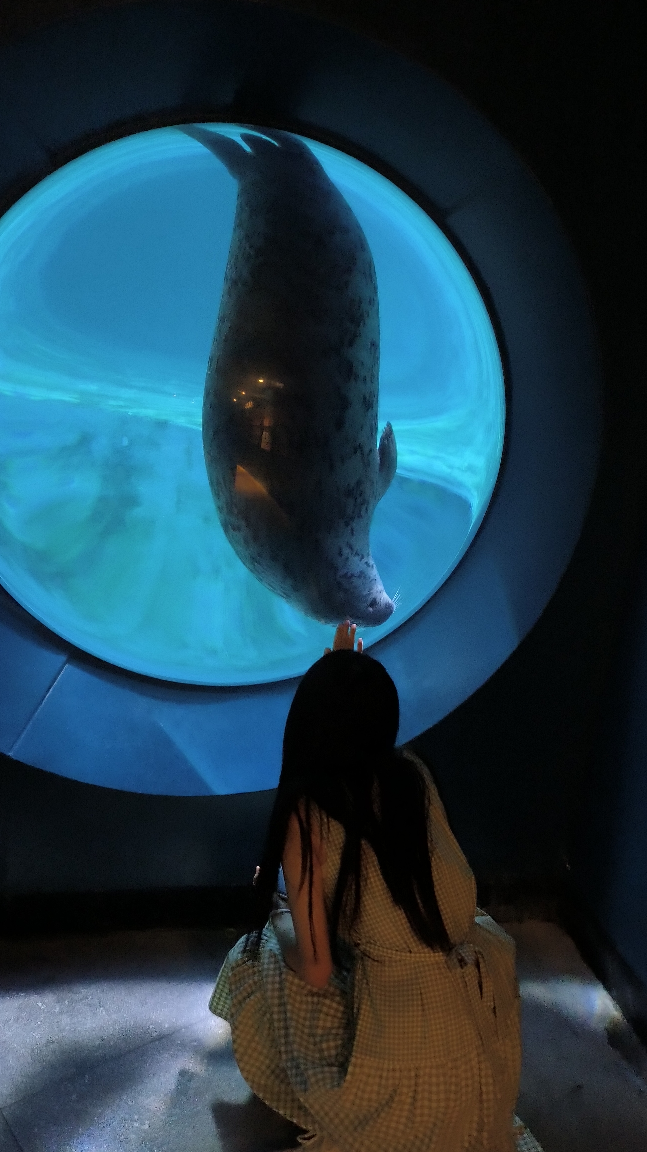 海豹馆