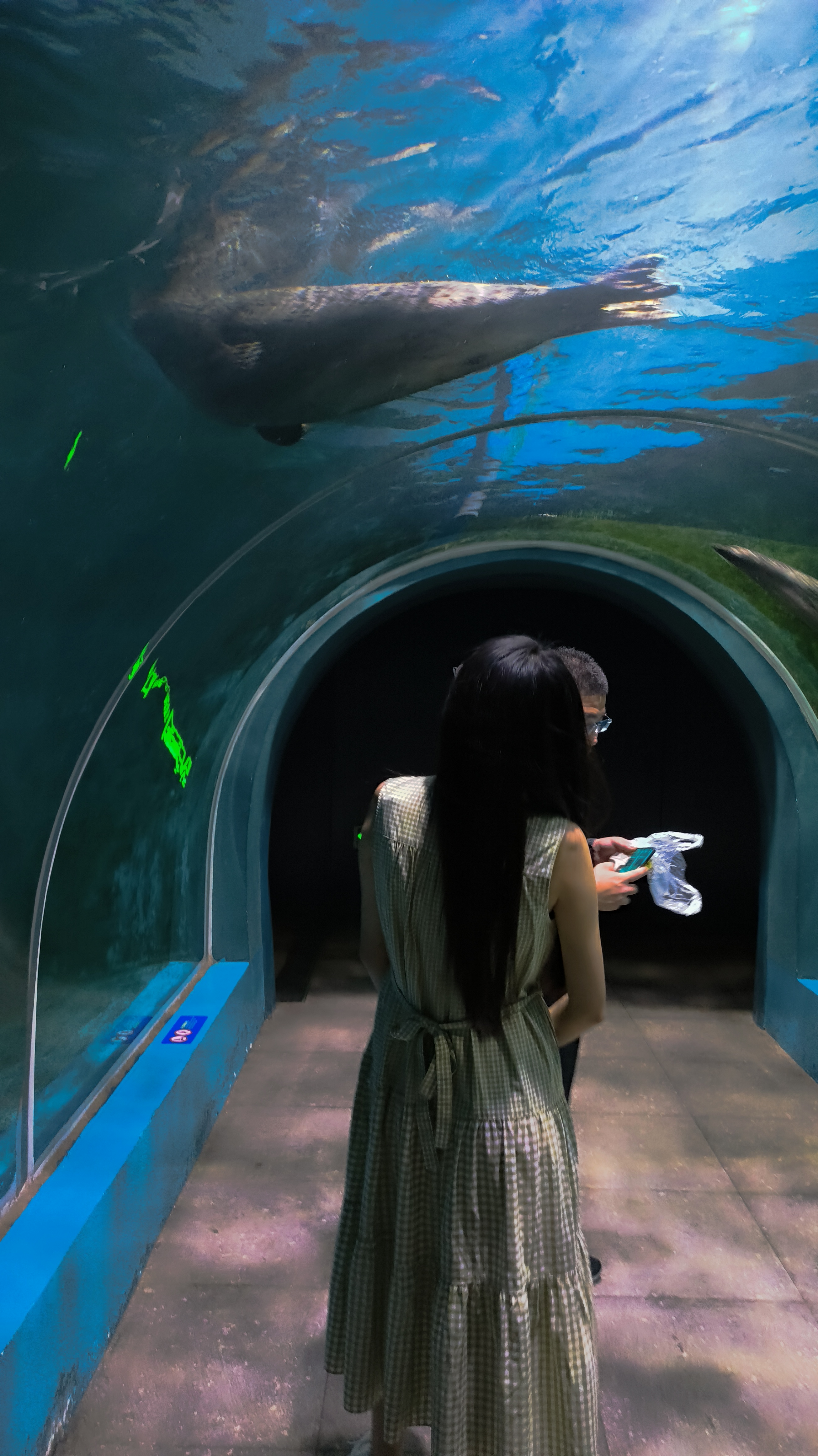 海豹馆
