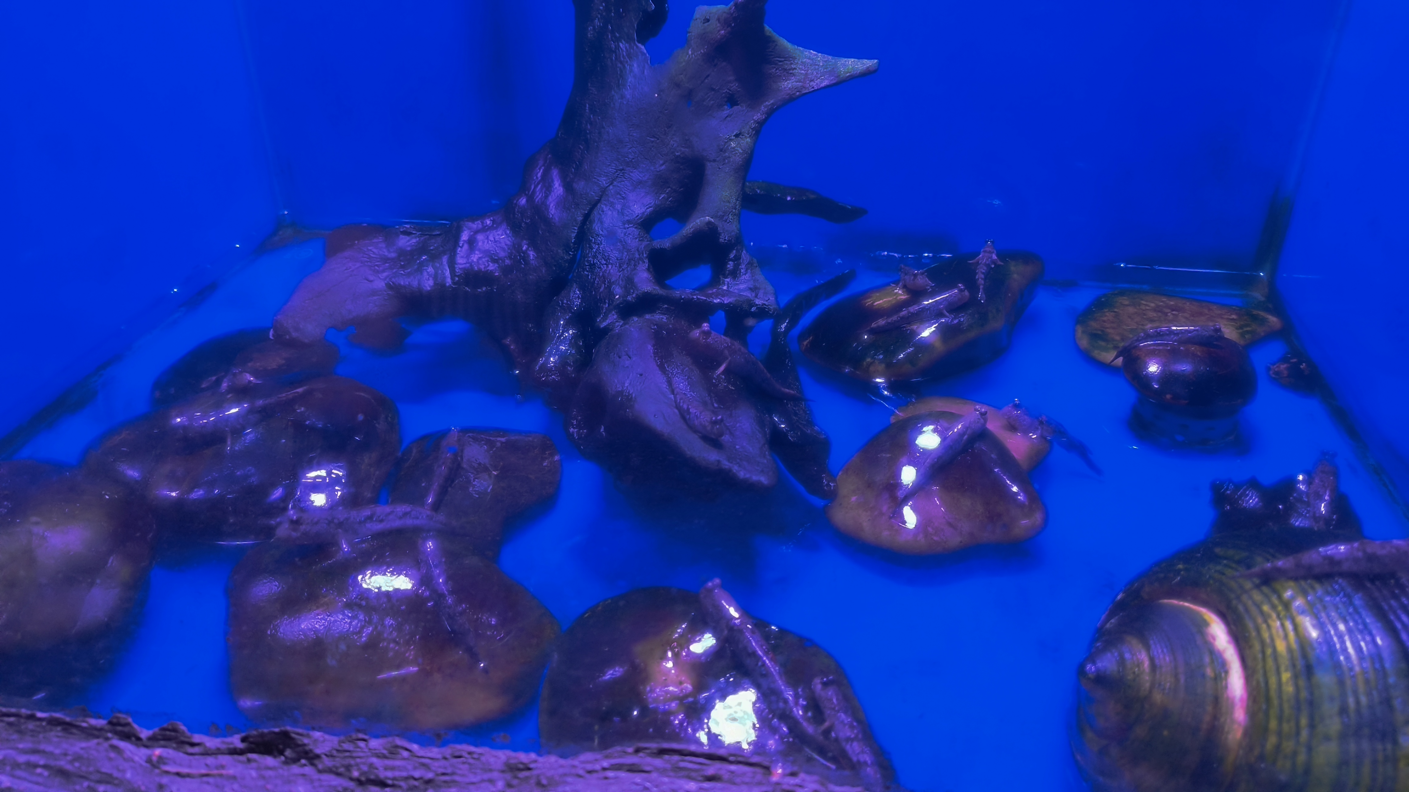海底世界主馆