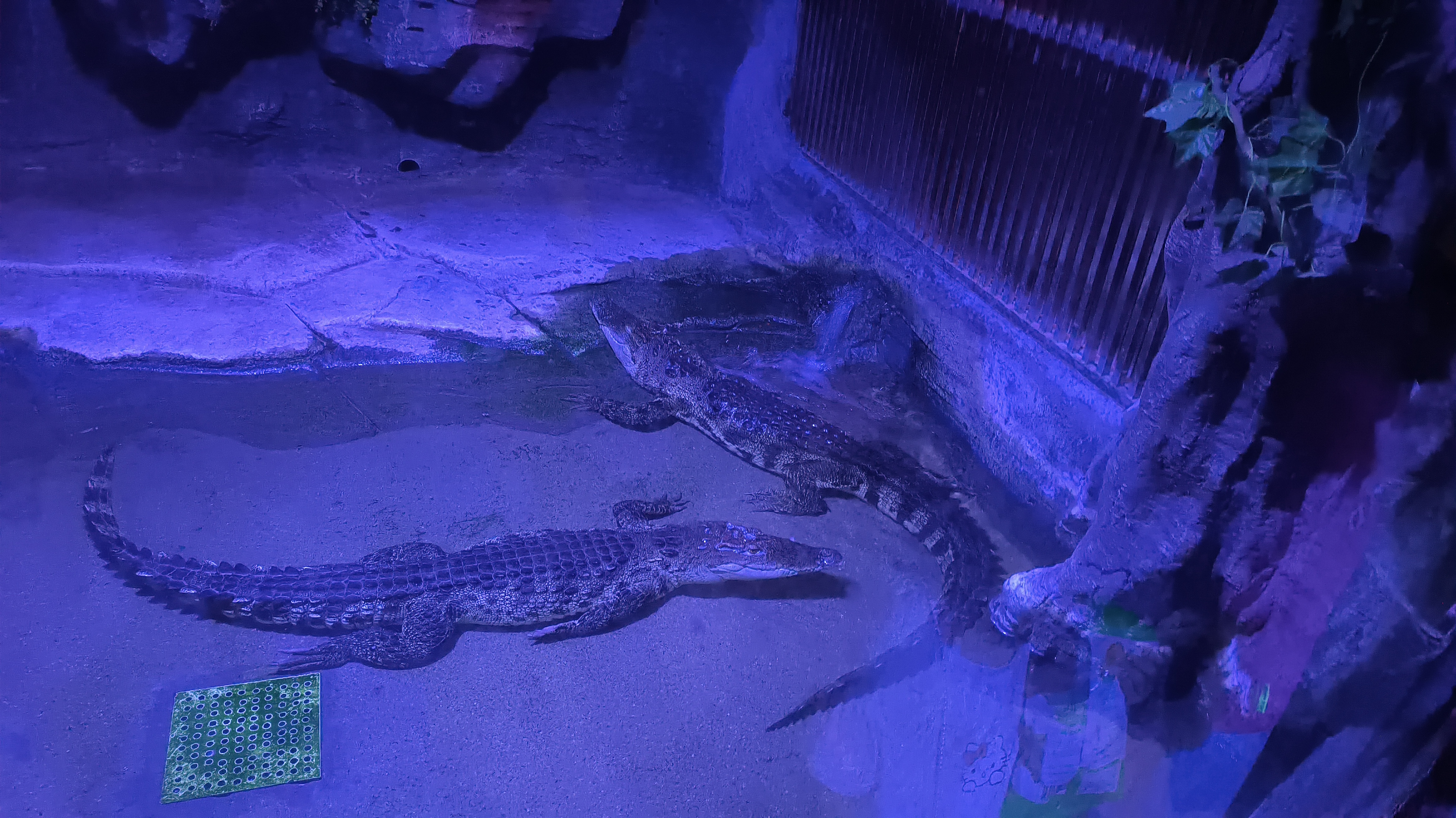 淡水生物馆