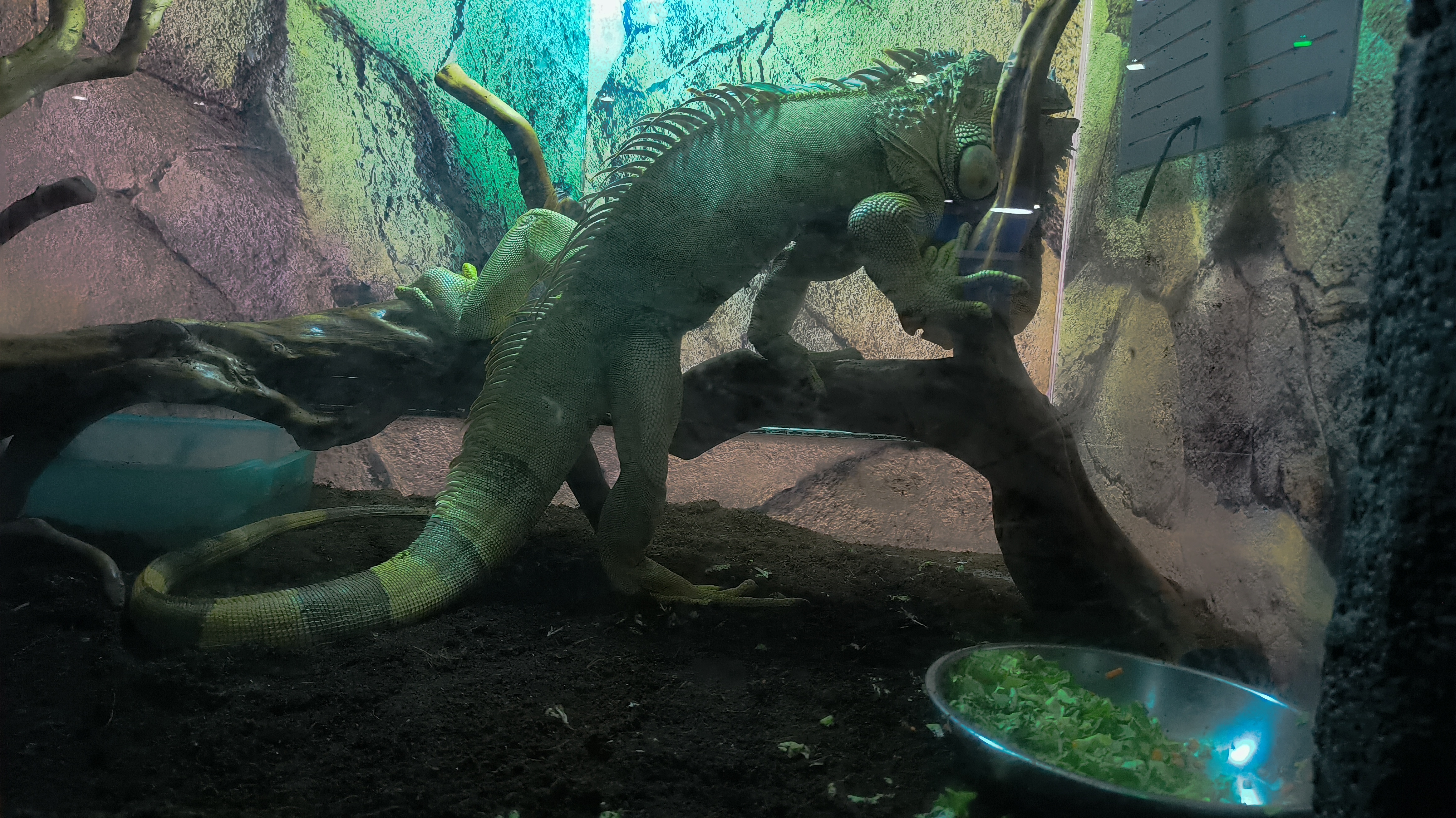 淡水生物馆