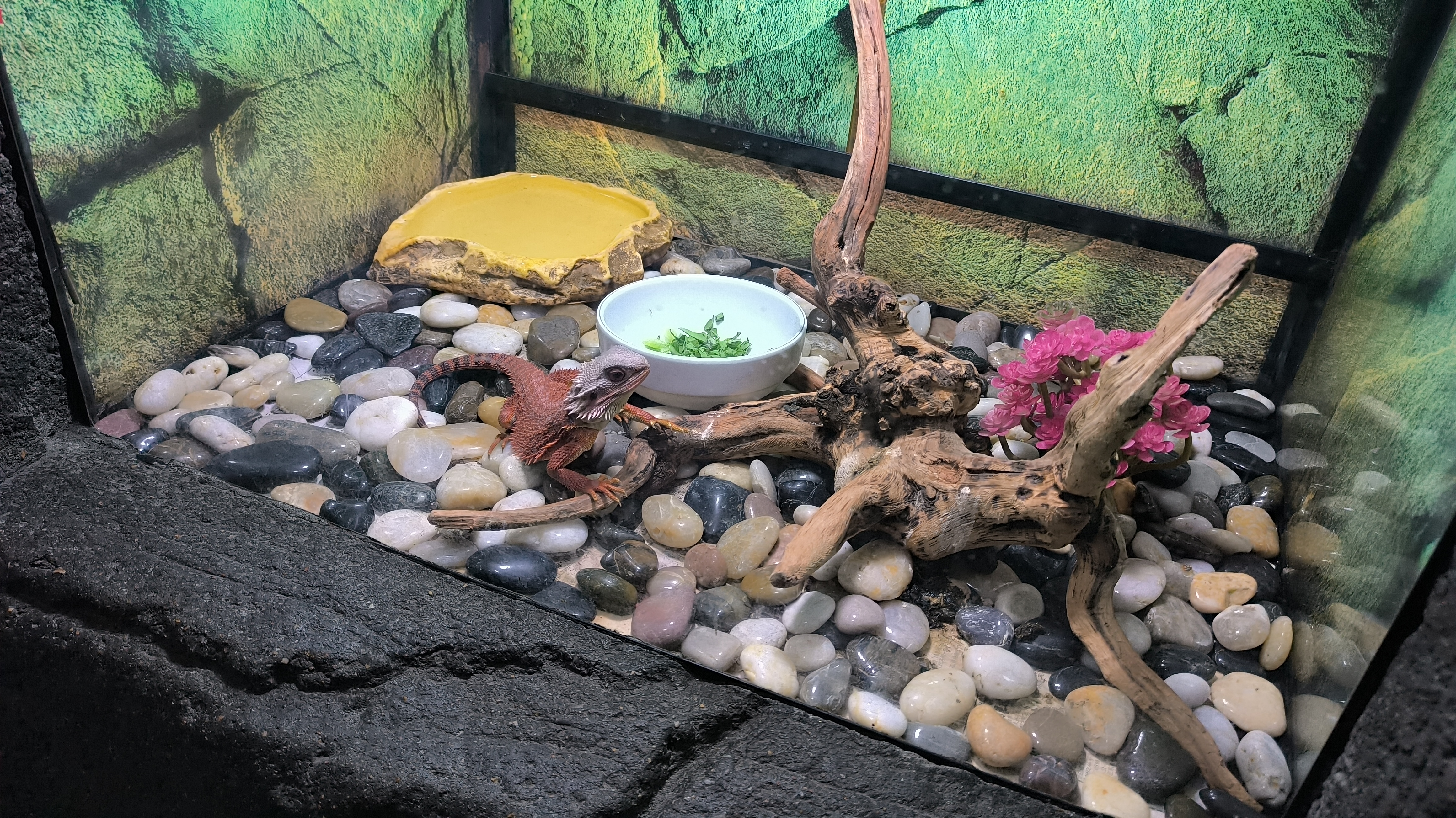 淡水生物馆